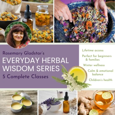 Rosemary Gladstar’s Everyday Herbal Wisdom Series