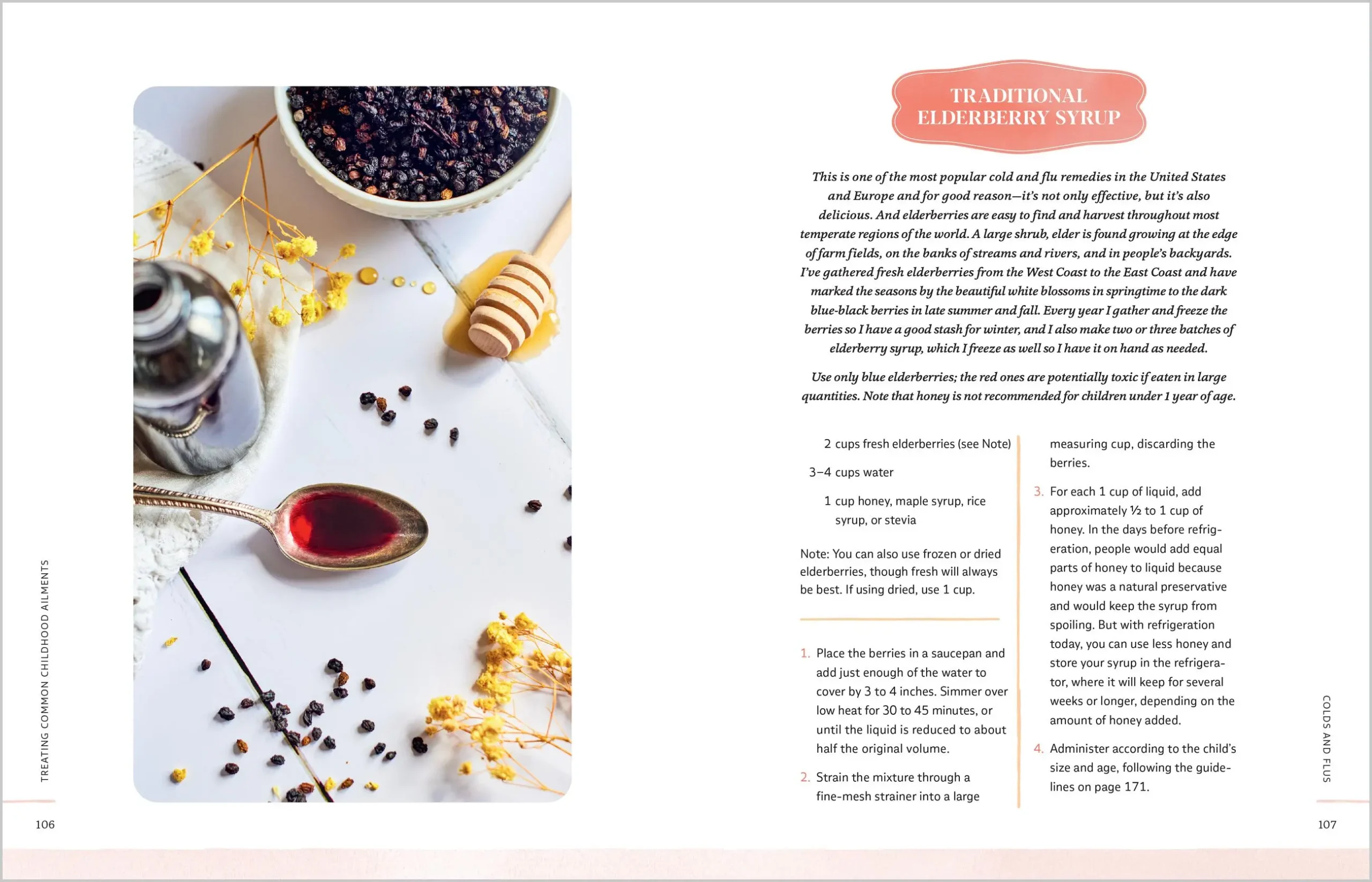 Herbs for Children's Health, 3rd Edition 5 Herbs for Children's Health, 3rd edition - elderberry syrup