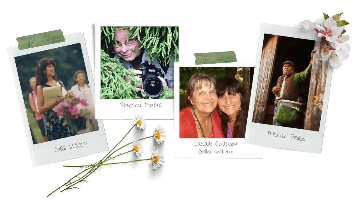 Rosemary's Peers