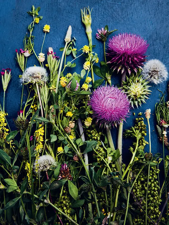 TOC c RosemaryGladstar GenerosityPlants cover